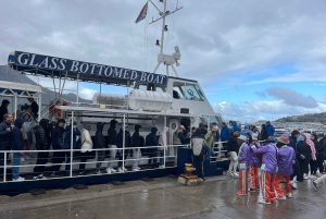 Visita guiada particular ao Cabo da Boa Esperança e à Colónia dos Pinguins