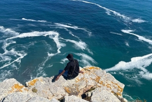 Visita guiada particular ao Cabo da Boa Esperança e à Colónia dos Pinguins