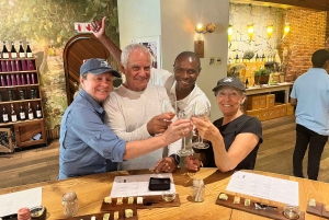 Visita guiada particular ao Cabo da Boa Esperança e à Colónia dos Pinguins