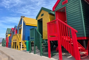 Visita guiada particular ao Cabo da Boa Esperança e à Colónia dos Pinguins