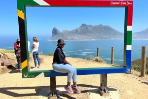 Visita guiada particular ao Cabo da Boa Esperança e à Colónia dos Pinguins