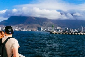 Private Multi-Day Tour to Table Mountain and Robben Island f