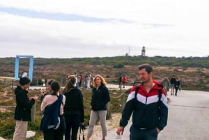Privat flerdagstur til Taffelbjerget og Robben Island f