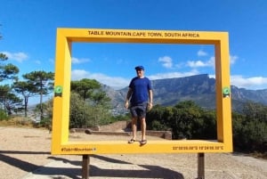 Excursión privada de varios días a la Montaña de la Mesa y la Isla Robben f