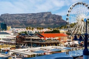 Yksityinen Robben Island, Waterfront ja Bo-Kaap -puolen päivän kiertue.