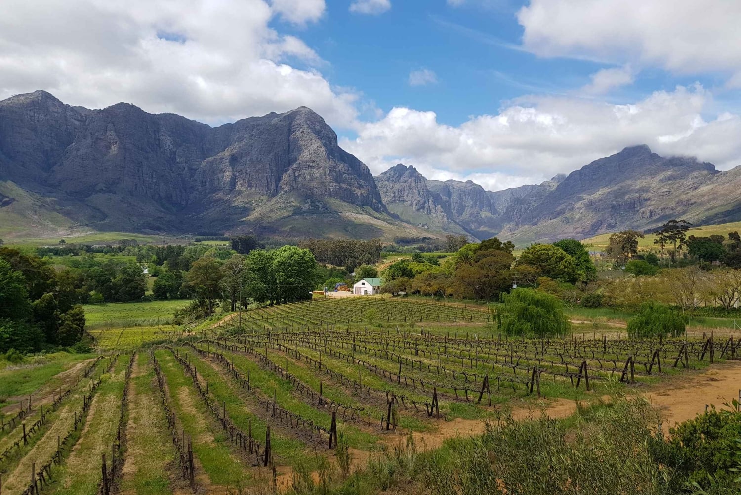 Tour particular de vinhos em Stellenbosch e Franschhoek