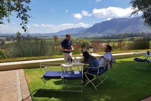 Tour particular de vinhos em Stellenbosch e Franschhoek