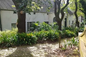 Tour particular de vinhos em Stellenbosch e Franschhoek