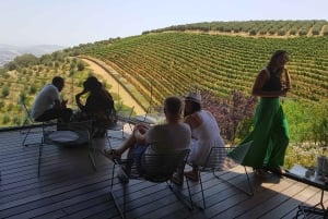 Tour particular de vinhos em Stellenbosch e Franschhoek