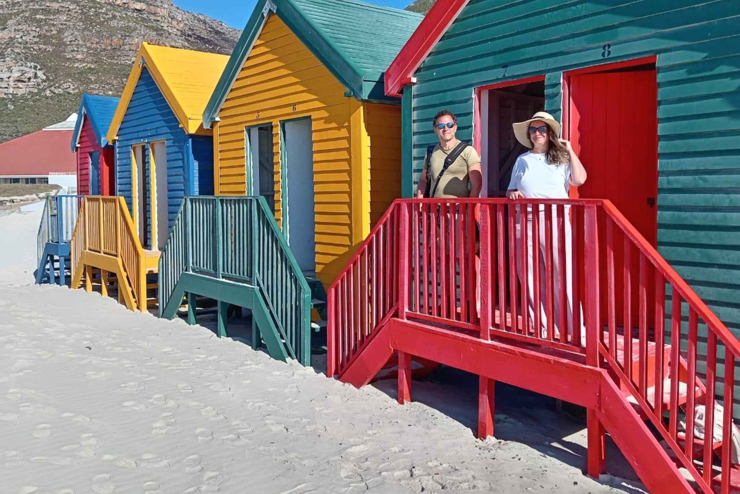 Privat Table Mountain, Cape of Goodhope, pingviner, vintur