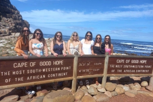 Private Table Mountain,Cape of Goodhope ,Penguins, Wine tour