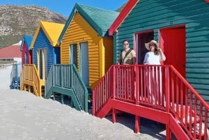 Private Table Mountain,Cape of Goodhope ,Penguins, Wine tour