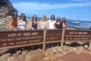 Privat Table Mountain, Cape of Goodhope, pingviner, vintur