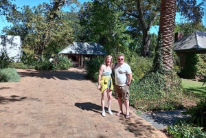 Privat Table Mountain, Cape of Goodhope, pingviner, vintur