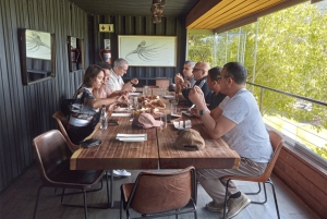 Privat Table Mountain, Cape of Goodhope, pingviner, vintur