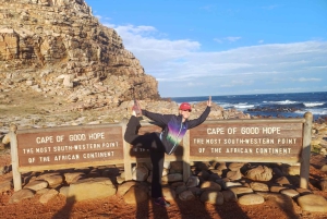 Privat Table Mountain, Cape of Goodhope, pingviner, vintur