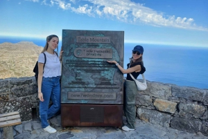 Privat Table Mountain, Cape of Goodhope, pingviner, vintur