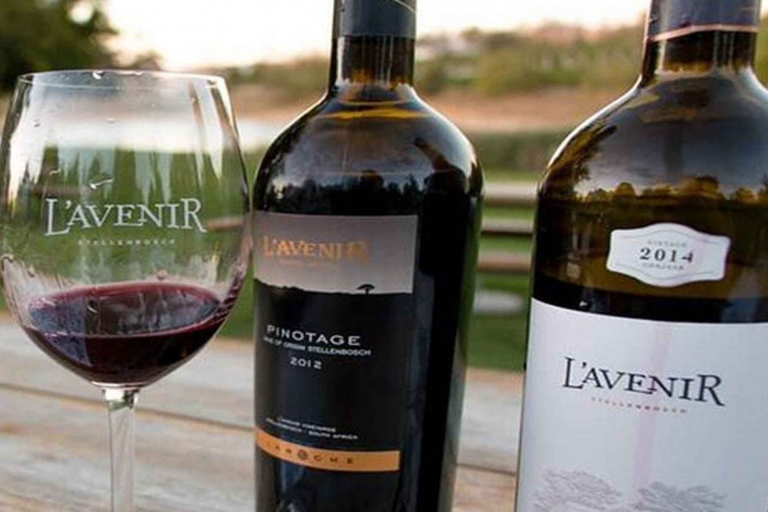 Privat topp prisbelönt Cape Wine Tasting dagsutflykt