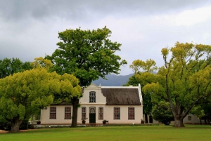 TOP THREE WINELANDS PRIVATE TOUR with pairings