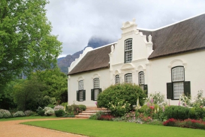 TOP THREE WINELANDS PRIVATE TOUR with pairings
