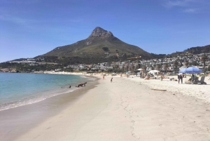 5-Days, Private Package Best of Cape Town