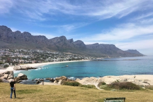 5-Tage, Privates Paket Best of Cape Town