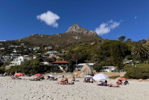 Privat tur: 7 uforglemmelige dager i pulserende Cape Town
