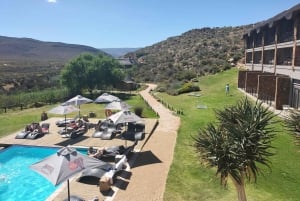 Wycieczka prywatna: Safari Big 5, poznaj dzikie zwierzęta