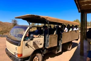 Wycieczka prywatna: Safari Big 5, poznaj dzikie zwierzęta