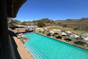 Wycieczka prywatna: Safari Big 5, poznaj dzikie zwierzęta