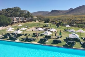 Wycieczka prywatna: Safari Big 5, poznaj dzikie zwierzęta