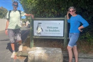 プライベート ツアー: グッドホップ岬 > チャップマンズ > ペンギン > アザラシ島