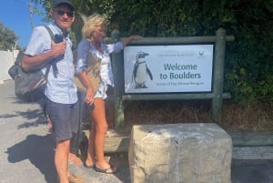 Excursão particular: Cabo da Boa Esperança>Chapman's>Penguin>Ilha do Selo