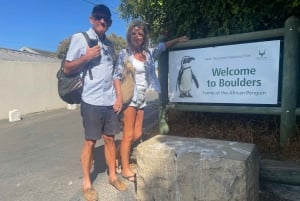 Private Tour:Cape of Good Hop>Chapman's >Penguin>Seal Island