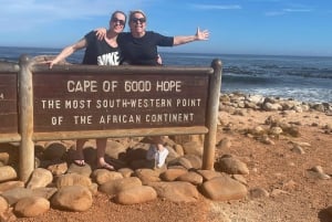 Yksityinen retki: Cape of Good Hop>Chapman's >Penguin>Seal island