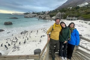 Privat tur: Cape of Good Hop>Chapman's >Penguin>Seal Island
