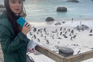 Excursão particular: Cabo da Boa Esperança>Chapman's>Penguin>Ilha do Selo