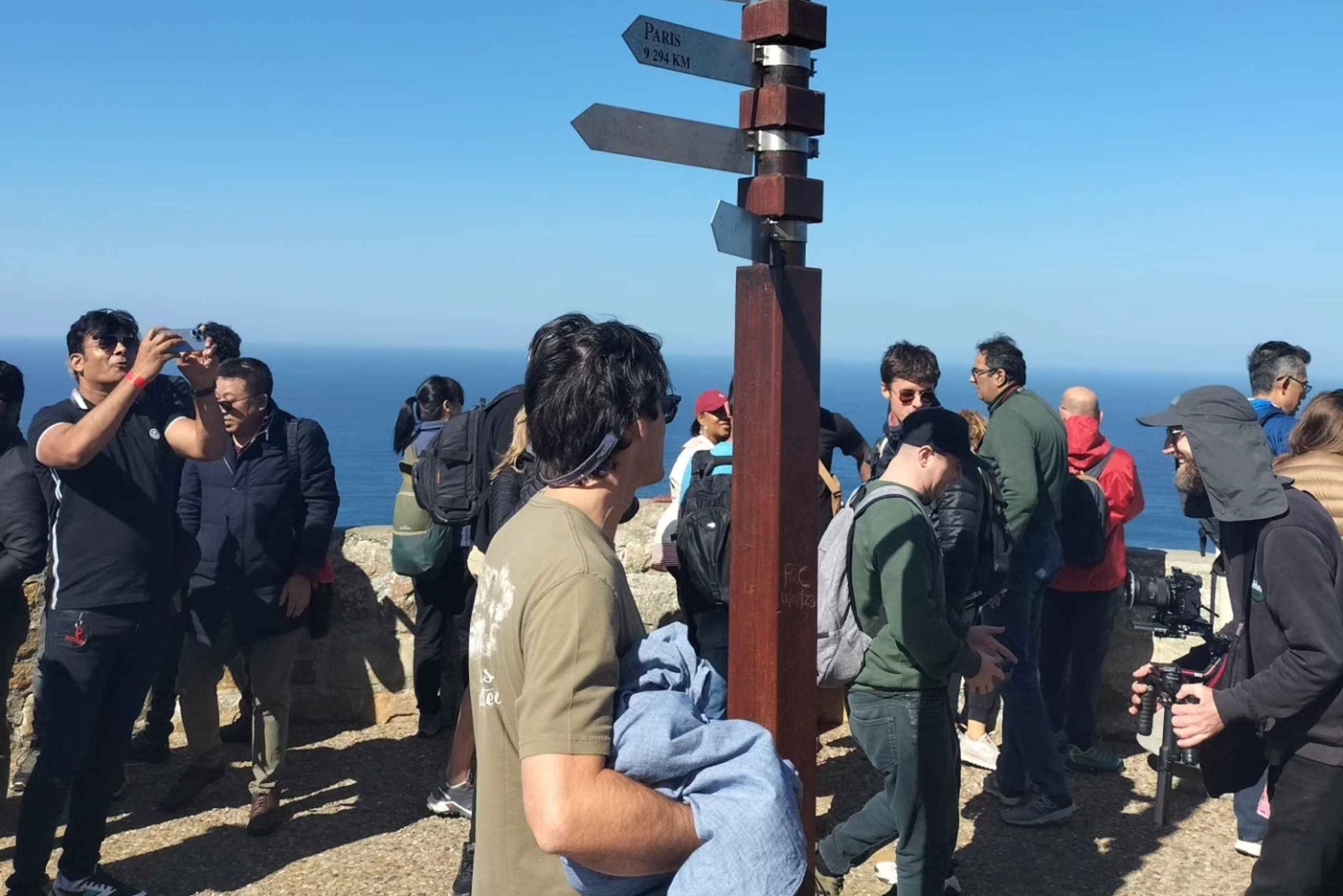 プライベート ツアー: ケープ半島とペンギン ビーチ、ケープ ポイントなど