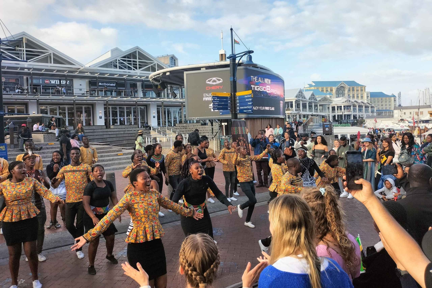 プライベート ツアー: ケープ半島とペンギン ビーチ、ケープ ポイントなど