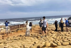 Prywatna wycieczka: półwysep Cape i plaża pingwinów, Cape Point i nie tylko