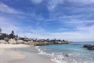 Tour Privado: Península do Cabo e Praia dos Pinguins, Cape Point e muito mais