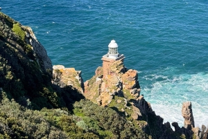 Private Tour:Cape Peninsula &Penguin Beach, Cape Point &more