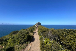 Private Tour:Cape Peninsula &Penguin Beach, Cape Point &more