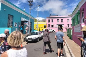 プライベート ツアー: ケープ半島とペンギン ビーチ、ケープ ポイントなど