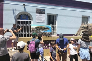 プライベート ツアー: ケープ半島とペンギン ビーチ、ケープ ポイントなど