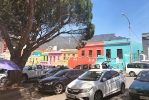 プライベート ツアー: ケープ半島とペンギン ビーチ、ケープ ポイントなど