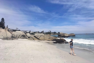 プライベート ツアー: ケープ半島とペンギン ビーチ、ケープ ポイントなど