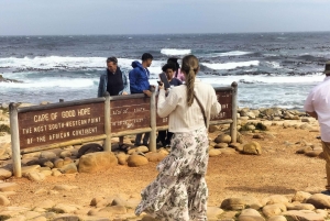 プライベート ツアー: ケープ半島とペンギン ビーチ、ケープ ポイントなど