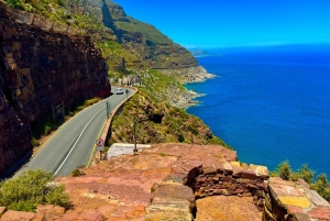 プライベート ツアー: ケープ半島とペンギン ビーチ、ケープ ポイントなど