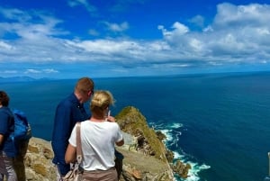 プライベート ツアー: ケープ半島とペンギン ビーチ、ケープ ポイントなど